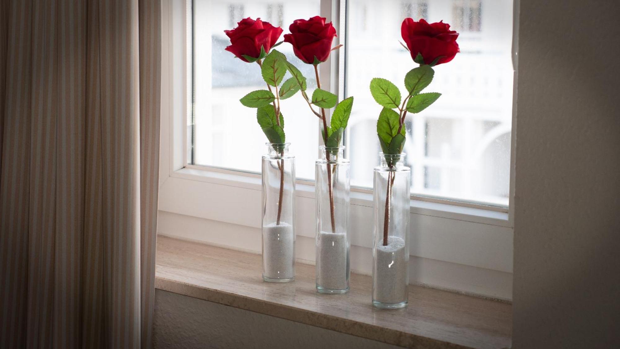 Sehnsucht Ruegen Ferienappartements Sellin  Rum bild