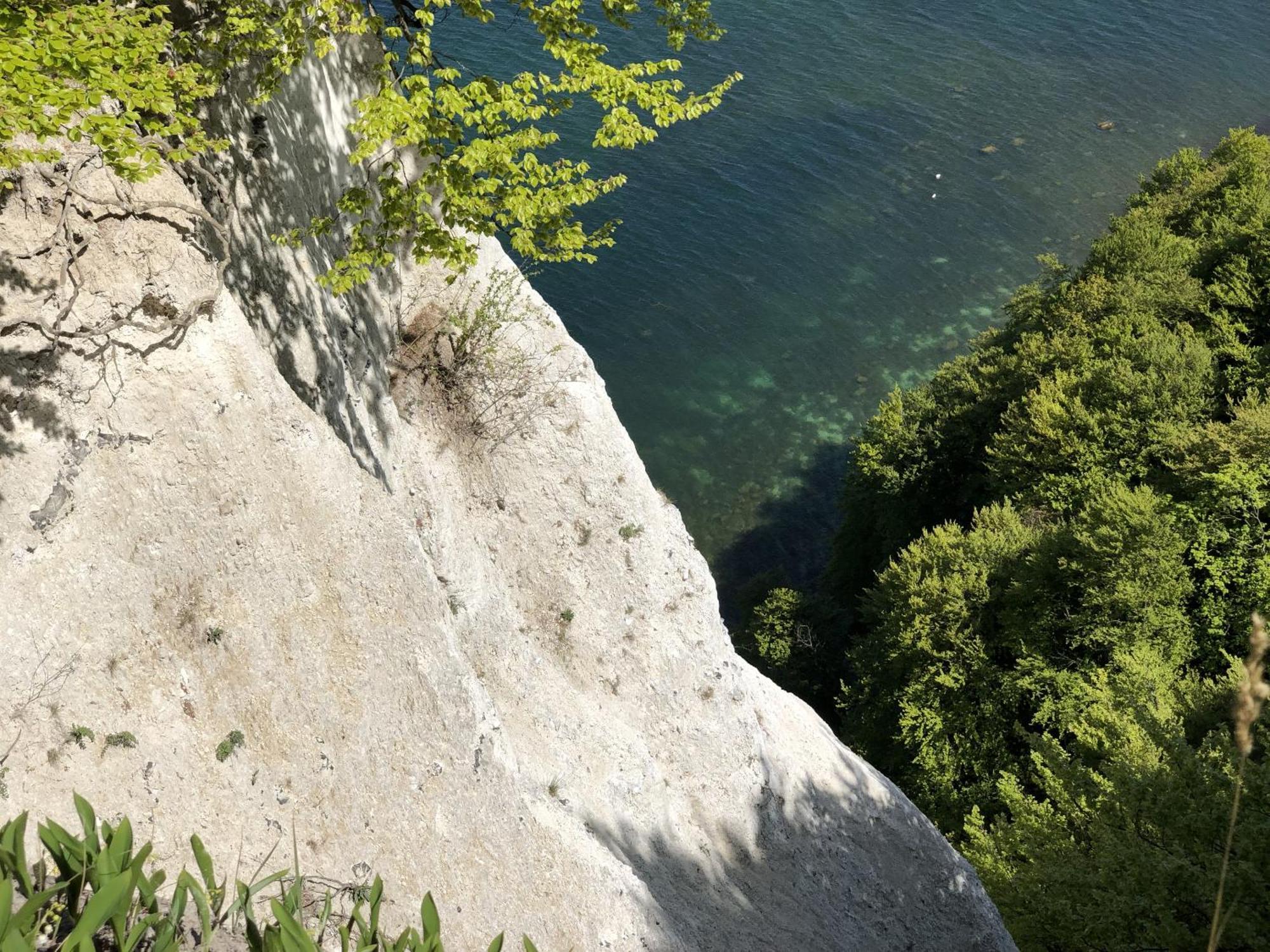 Sehnsucht Ruegen Ferienappartements Sellin  Exteriör bild